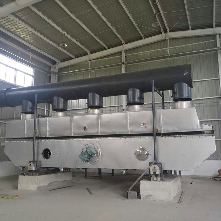 廣東振動(dòng)流化床